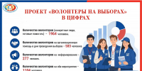 Проект «Волонтеры на выборах» в цифрах - Избирательная комиссия