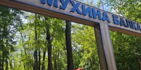 Опасная зона: в Аксае запретили прогулки в Мухиной балке из‑за поваленных деревьев - Ростов161
