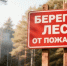 Конкурс «Береги лес от пожаров» выявил лучших видеографов среди калужских школьников - Калужский перекрёсток