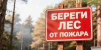 Конкурс «Береги лес от пожаров» выявил лучших видеографов среди калужских школьников - Калужский перекрёсток