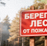 В Калужской области подвели итоги конкурса «Береги лес от пожаров» - Телерадиокомпания Ника