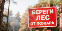 В Калужской области подвели итоги конкурса «Береги лес от пожаров» - Телерадиокомпания Ника