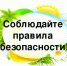 Правила безопасности на выходные дни - Администрация Туймазинского района