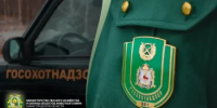 Деятельность госохотнадзора в цифрах - Министерство лесного хозяйства