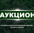 Проводится открытый аукцион на право заключения договора аренды лесного участка - Министерство лесного, охотничьего хозяйства и природопользования
