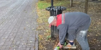 В парке Циолковского убрали опасные штыри - Калужский перекрёсток