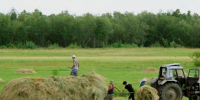 В Якутии заготовлено почти 36 тысяч тонн сена  - Правительство Республики Саха (Якутия)