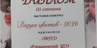 Радуга цветов - 2026 - Центр соцобслуживания