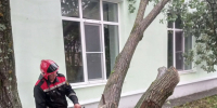 В Костроме бригады оперативных служб и энергетики устранят последствия непогоды - Город Кострома