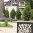 фото пресс-службы Правительства региона. - НИА-Кавказ - Ингушетия