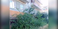 В райцентре Бурятии ищут хозяина заброшенного общежития - ИА Байкал-Daily