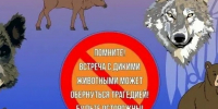 Правила поведения с дикими животными. - Каратузский район