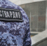 В Саранске сотрудниками Росгвардии оперативно пресечены правонарушения - Росгвардия