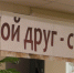 Лучший друг человека стал главным героем встречи в БСЧ - НоКС ТВ