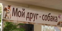Лучший друг человека стал главным героем встречи в БСЧ - НоКС ТВ