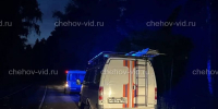 Пожар у Еськино в Чехове: сгоревший автомобиль, погибший мужчина и работа спасателей — хронология и детали ЧП - Chehov-Vid.Ru