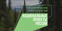 Леса – наше богатство - Департамент молодежной политики
