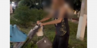 В Армавире 4-летнего ребенка поместили в социальный центр после прогулки с пьяной матерью - GorodArmavir.Ru