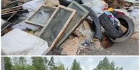 Во Всеволожском районе ликвидировали несанкционированную свалку - Комитет экологического надзора
