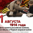 Памятная дата военной истории России - Центральная районная библиотека