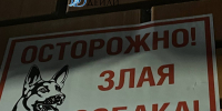 В Забайкалье компания обогащалась на «прокатке» собак - ИА Байкал-Daily