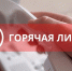Горячие линии готовы - Избирательная комиссия