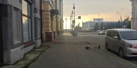 Подросток на электросамокате попал под колеса BMW в Томске - ГТРК Томск
