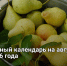 Лунный календарь на август 2026 года - Самарская Газета