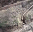В Красноярском крае золото добыли, а реку угробили - 1-LINE