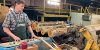 Антикризисный вектор развития - Газета Республика