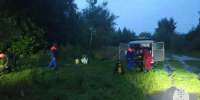 Дело возбудили после гибели девятилетнего ребенка в Электростали - M24.Ru