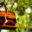 image - GazetaRB.Ru