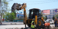 Улицу Володарского готовят к комплексному озеленению - Администрация города