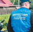 Один в поле – не воин - Газета Ладога