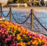 Фото: Baturina Yuliya/Shutterstock/Fotodom - Ямал-Медиа