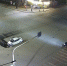 В Челябинске отдали под суд автоледи, устроившую серьезное ДТП с байкером - Агентство новостей Доступ