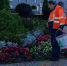 В Курске из парков и скверов за неделю вывезли более 75 тонн мусора - РИА Курск