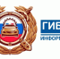 Дорожно-транспортное происшествие - Елецкий район
