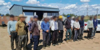 Под Волгоградом полицейские выявили нелегальных мигрантов на сельхозполях - Volganet.Net