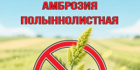 Внимание, жители Майского района! - Майский район