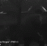 Видео - ТВН