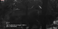 Видео - ТВН