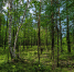 ChatGPT Image 31 июл. 2026 г., 14_20_02 - NeruLife.Ru