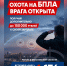 ​В Ярославской области идет набор кандидатов в территориальный отряд «Барс» - Правительство