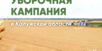 В Калужской области набирает обороты уборочная кампания - Телерадиокомпания Ника