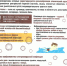 Энтеровирусная_инфекция - Центр соцобслуживания населения