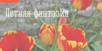 Летняя фантазия - ЗАТО Александровск