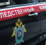 СК проверяет информацию об избиении 11-летнего мальчика в Володарском округе - НИА Нижний Новгород