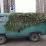 IMG_20260731_112136 - Рязанские ведомости