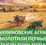 14 июля в Бутурлиновском районе стартовала уборочная кампания. - Бутурлиновский район